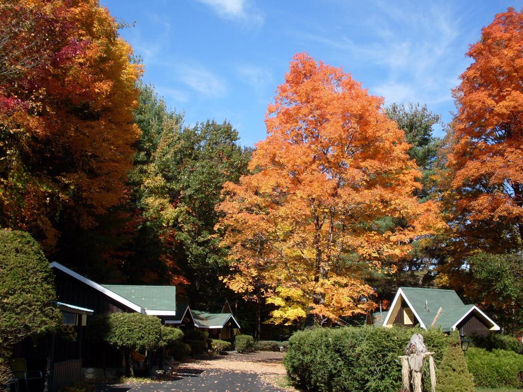 Amber Lantern Motel Lake George Exterior photo